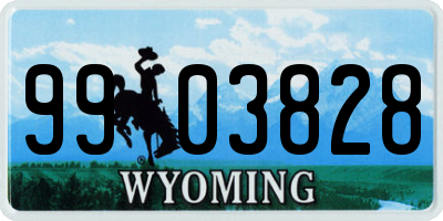 WY license plate 9903828