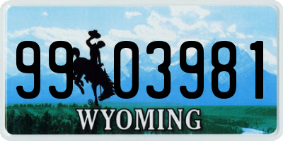 WY license plate 9903981