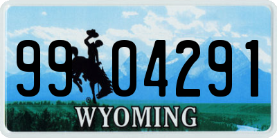 WY license plate 9904291