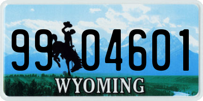 WY license plate 9904601