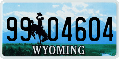 WY license plate 9904604