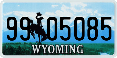 WY license plate 9905085