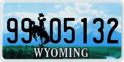 WY license plate 9905132
