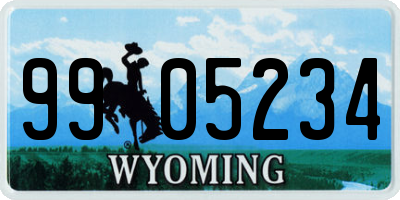 WY license plate 9905234