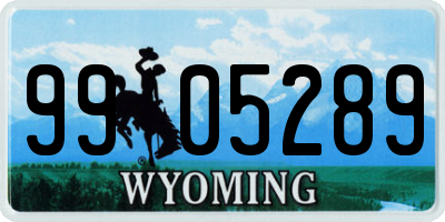 WY license plate 9905289