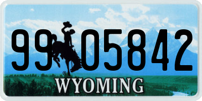WY license plate 9905842