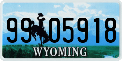 WY license plate 9905918