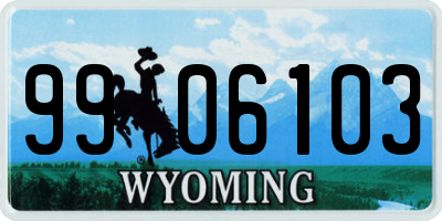 WY license plate 9906103