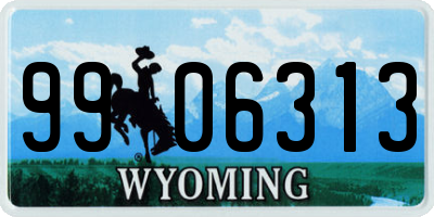 WY license plate 9906313