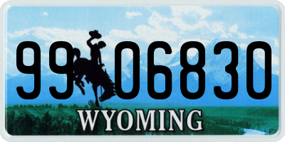 WY license plate 9906830