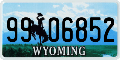 WY license plate 9906852