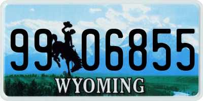WY license plate 9906855