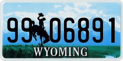 WY license plate 9906891
