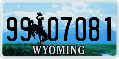 WY license plate 9907081