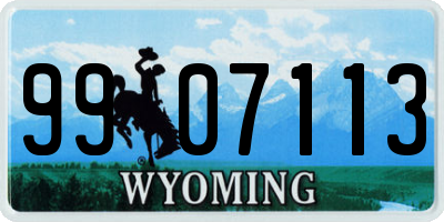 WY license plate 9907113