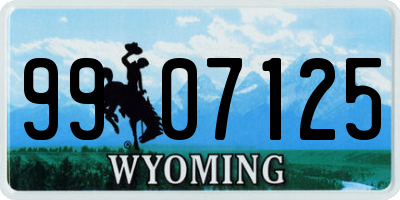 WY license plate 9907125
