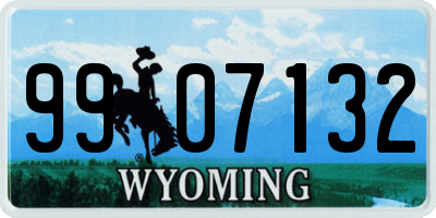 WY license plate 9907132