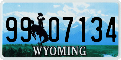WY license plate 9907134