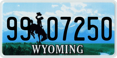 WY license plate 9907250
