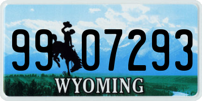 WY license plate 9907293