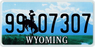 WY license plate 9907307