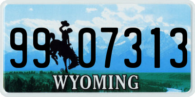 WY license plate 9907313