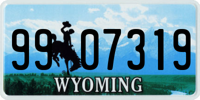WY license plate 9907319