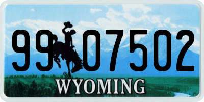 WY license plate 9907502