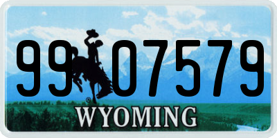 WY license plate 9907579