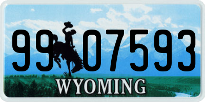 WY license plate 9907593