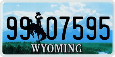 WY license plate 9907595