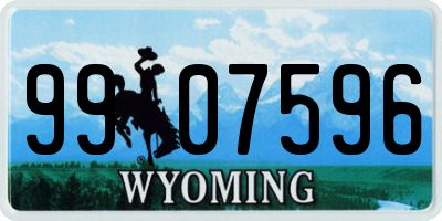 WY license plate 9907596