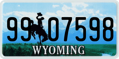 WY license plate 9907598