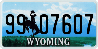 WY license plate 9907607