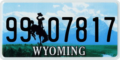 WY license plate 9907817