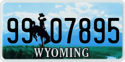 WY license plate 9907895
