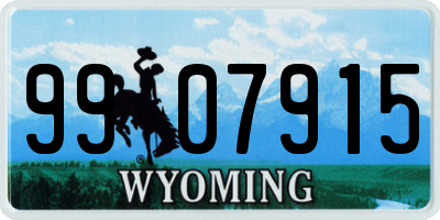 WY license plate 9907915