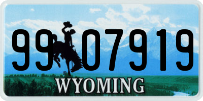 WY license plate 9907919