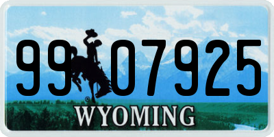 WY license plate 9907925