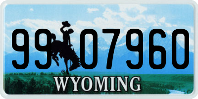 WY license plate 9907960