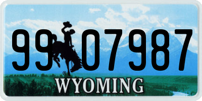 WY license plate 9907987