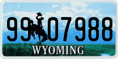 WY license plate 9907988