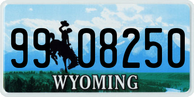 WY license plate 9908250