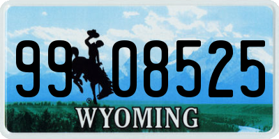 WY license plate 9908525