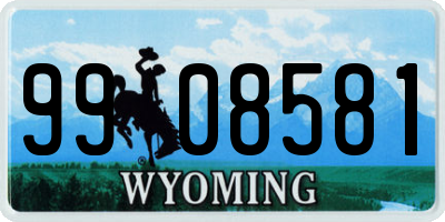 WY license plate 9908581