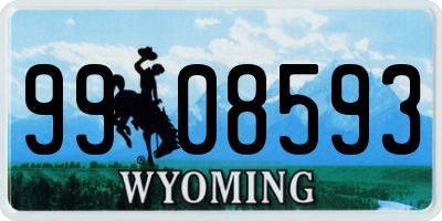 WY license plate 9908593
