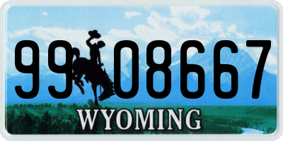 WY license plate 9908667
