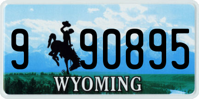 WY license plate 990895