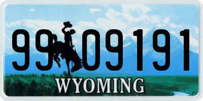 WY license plate 9909191