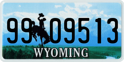 WY license plate 9909513